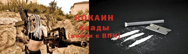 стафф Инта