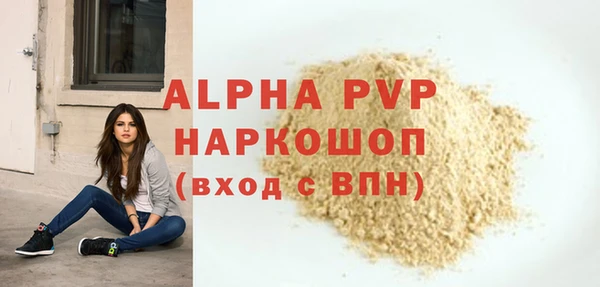 стафф Инта