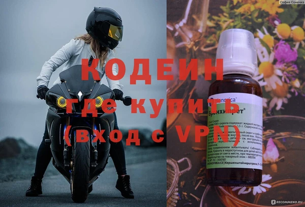 стафф Инта